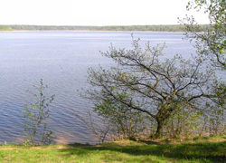 Экологи Чеченской Республики провели зарыбление озер в Шелковском районе