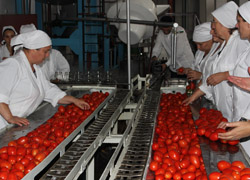 М.Дадаев: «На рынке появится консервированная продукция от Самашкинского завода»