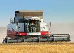 В Наурском районе собрали 67,4 центнера пшеницы с гектара