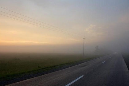 МЧС предупреждает автомобилистов о тумане